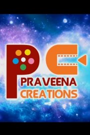 Praveena Creations Image