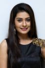 Payal Rajput Image Payal Rajput Image