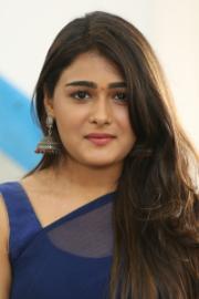 Shalini Pandey Image