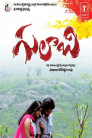 Gulabi Movie Poster Gulabi Movie Poster