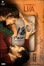 18 Pages Image