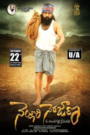 Nelluri Nerajana Image