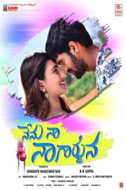 Nenu Na Nagarjuna Image